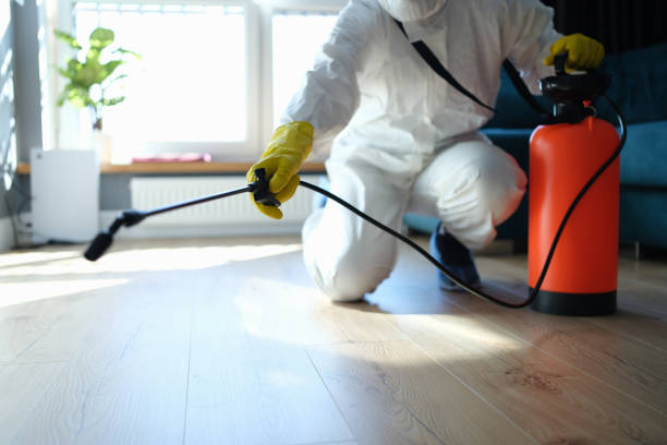 Best Pest Prevention Services  in Ness City, KS